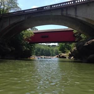 Meet your Posher, Janean